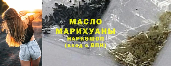 гидра Горнозаводск