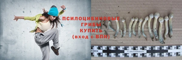 гидра Горнозаводск
