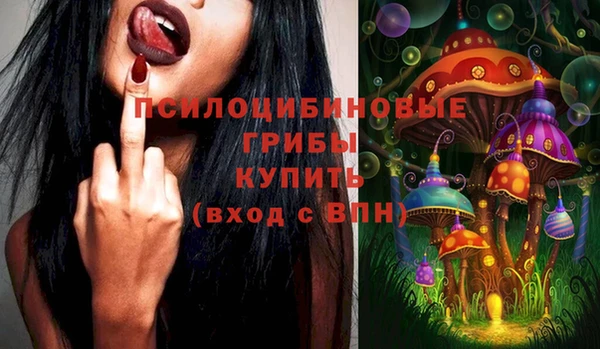 винт Фурманов