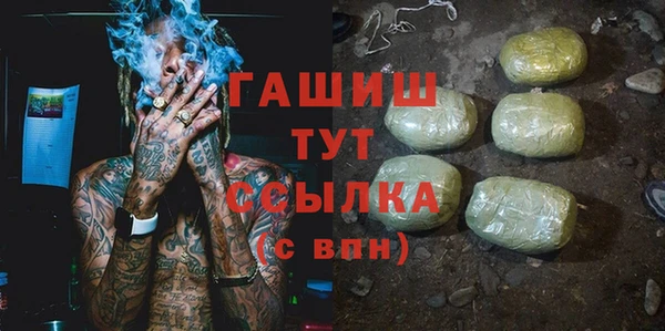 гидра Горнозаводск