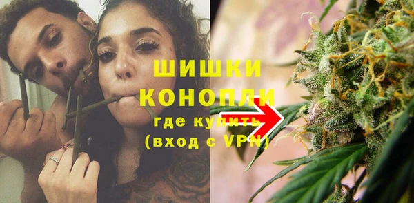 гидра Горнозаводск