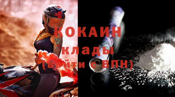 гидра Горнозаводск