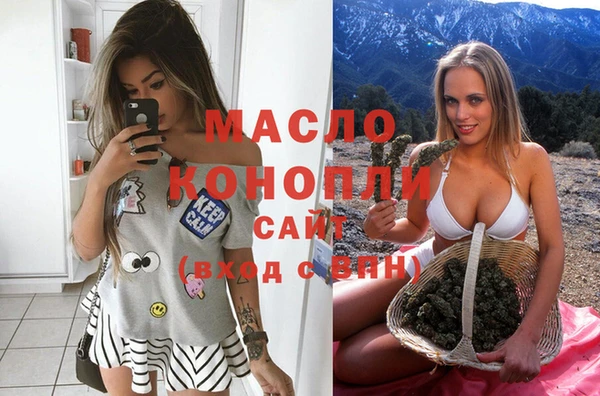гидра Горнозаводск