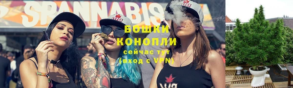 гидра Горнозаводск