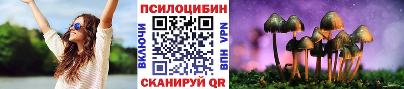 Псилоцибиновые грибы Magic Shrooms  Дегтярск 